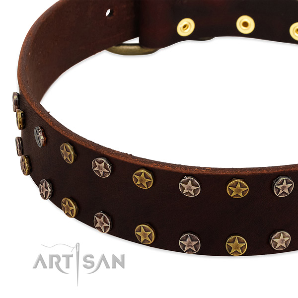 Handy use full grain leather dog collar with extraordinary studs