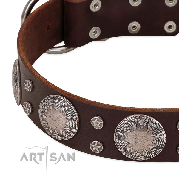 Quality natural leather dog collar with adornments for your attractive canine