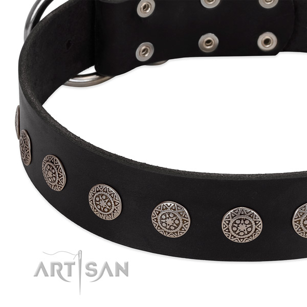 Trendy dog collar of full grain leather with embellishments
