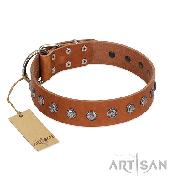 Inimitable studs on full grain leather collar for handy use your canine