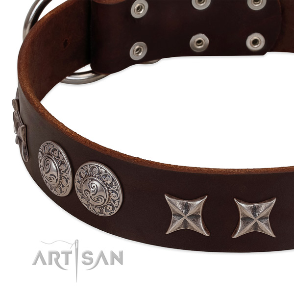 Remarkable leather dog collar with reliable traditional buckle