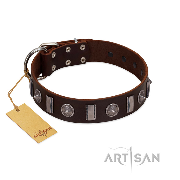 Flexible full grain leather dog collar with adornments for comfortable wearing