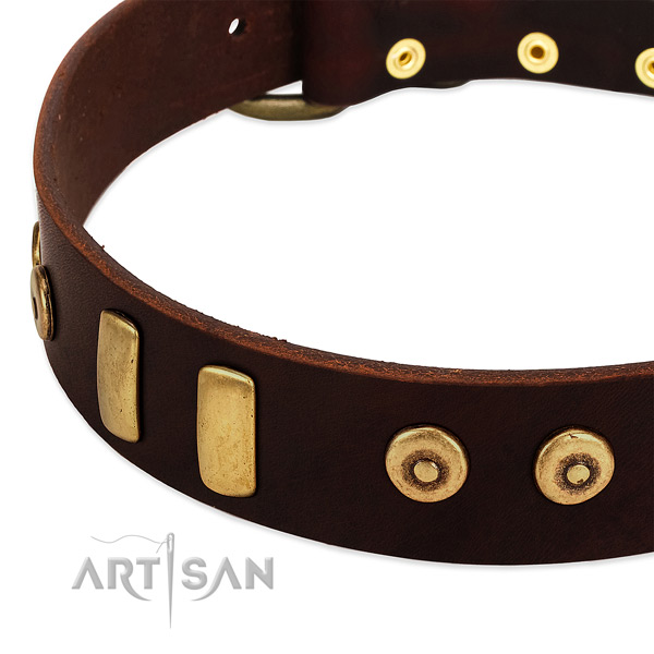 Best quality natural leather collar with amazing studs for your dog