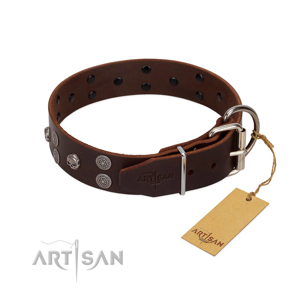 Top notch full grain genuine leather dog collar with studs for walking