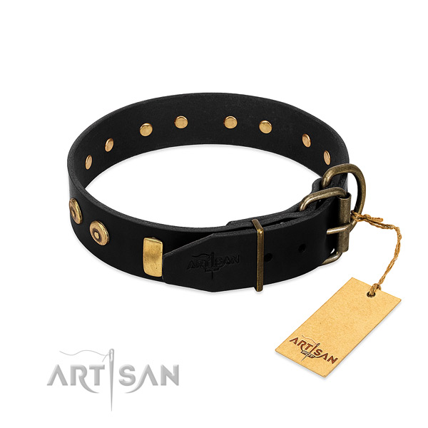 Quality natural leather collar with awesome embellishments for your dog