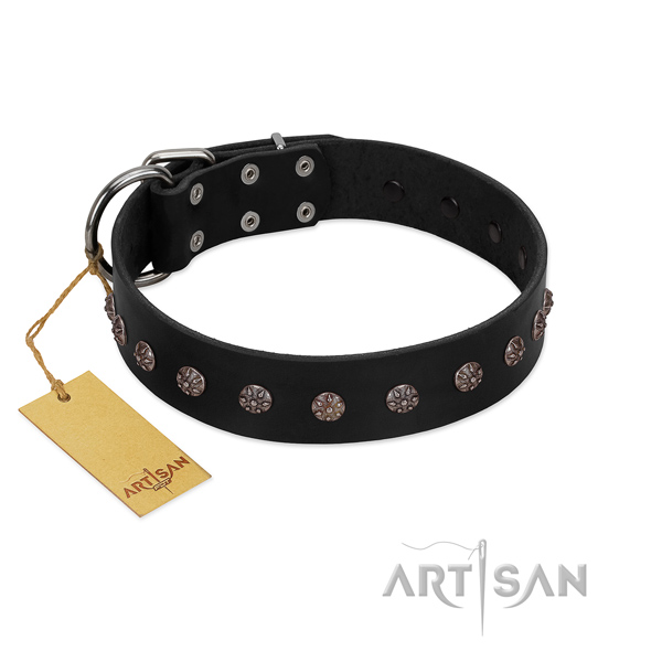 Comfy wearing full grain genuine leather dog collar with exquisite studs
