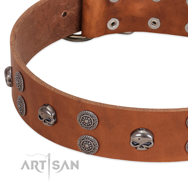 Best quality full grain natural leather dog collar with fashionable decorations