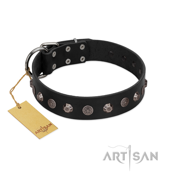 Adorned natural leather dog collar