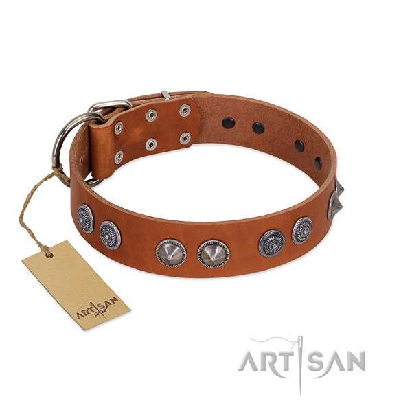 Quality leather collar with embellishments for your doggie
