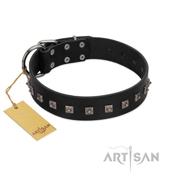 Unusual studded full grain leather dog collar