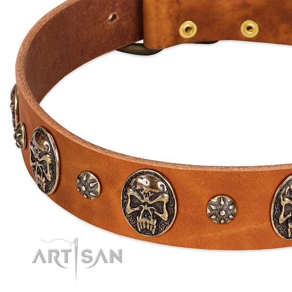 Durable fittings on natural genuine leather dog collar for your dog