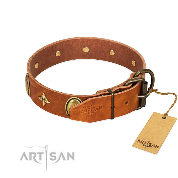 Soft full grain leather dog collar with fashionable studs