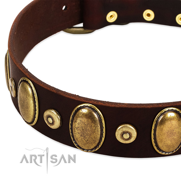 Trendy leather collar for your attractive four-legged friend