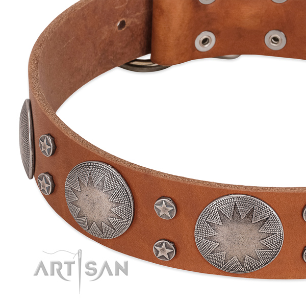 Reliable genuine leather dog collar with rust-proof traditional buckle