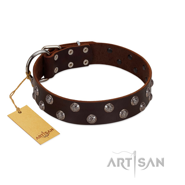Gentle to touch genuine leather dog collar with embellishments