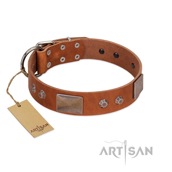 Stylish design full grain natural leather dog collar with rust-proof fittings