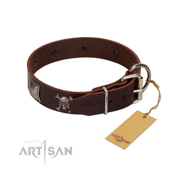 Top notch genuine leather collar for your impressive canine