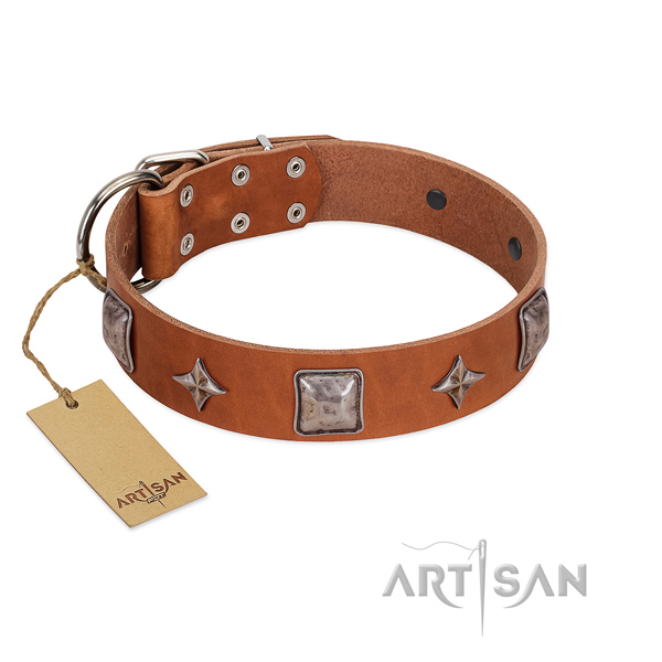 Quality genuine leather dog collar with studs for easy wearing
