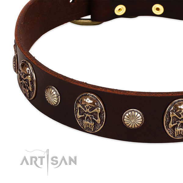 Natural genuine leather dog collar with adornments for stylish walking
