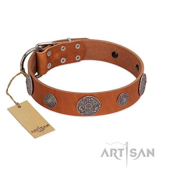 Adorned full grain genuine leather collar for your beautiful doggie