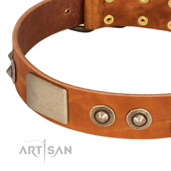 Rust resistant traditional buckle on natural genuine leather dog collar for your pet