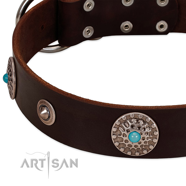 Top notch collar of natural leather for your impressive doggie