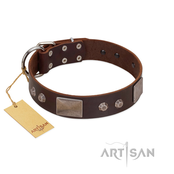 Exquisite genuine leather dog collar with durable D-ring