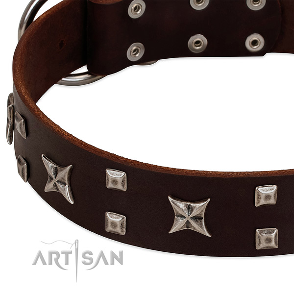 Top rate leather dog collar with adornments for walking