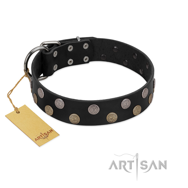 Natural leather dog collar with exceptional embellishments for your canine