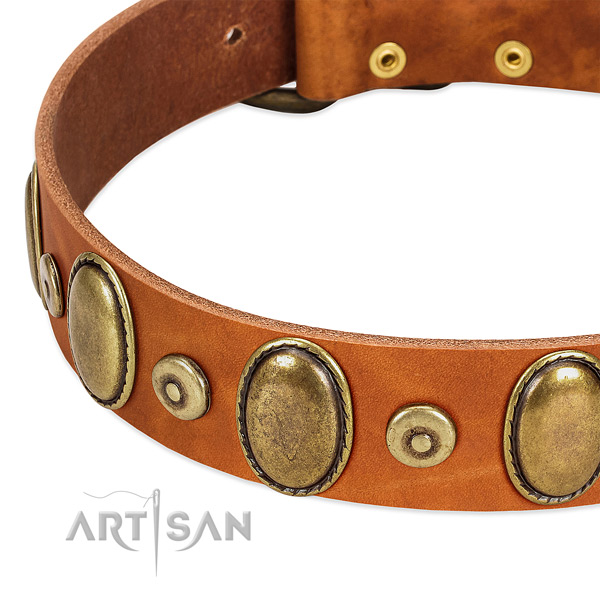 Awesome full grain natural leather collar for your handsome dog