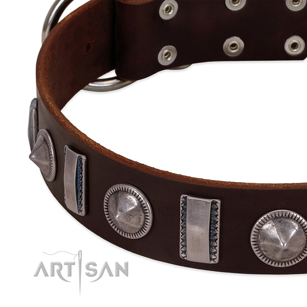 Impressive adorned natural leather dog collar for stylish walking