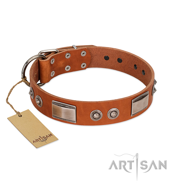 Handcrafted full grain leather collar with studs for your four-legged friend