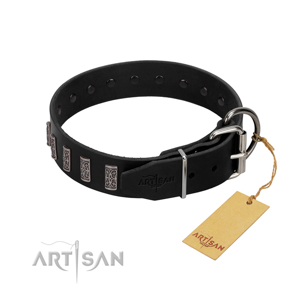 Corrosion proof fittings on full grain leather dog collar for everyday walking your doggie