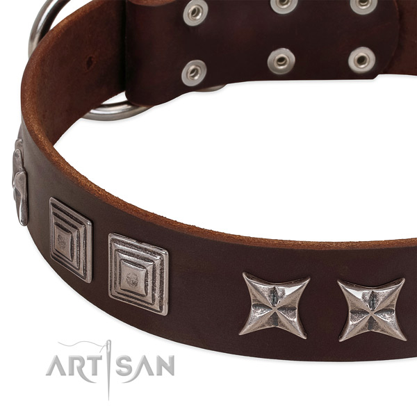 Daily use full grain genuine leather dog collar with top notch decorations
