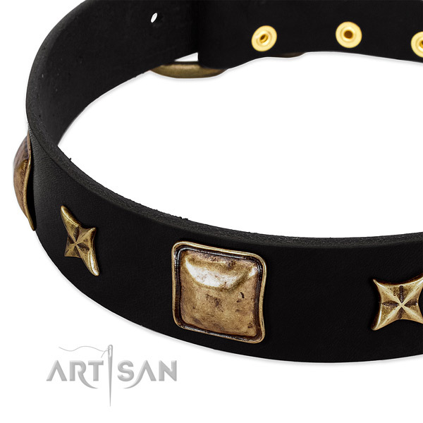 Natural leather dog collar with designer embellishments