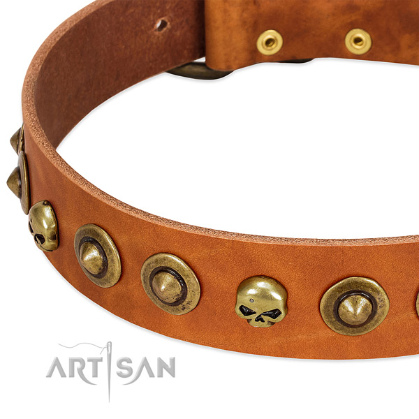 Unique decorations on full grain genuine leather collar for your dog