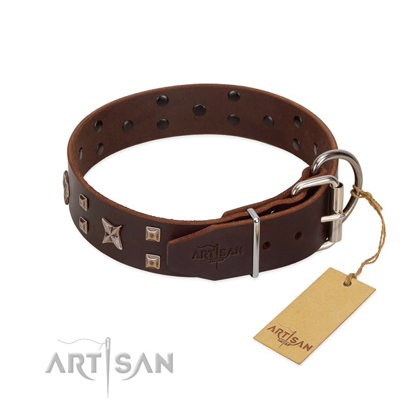 Natural leather dog collar with inimitable decorations