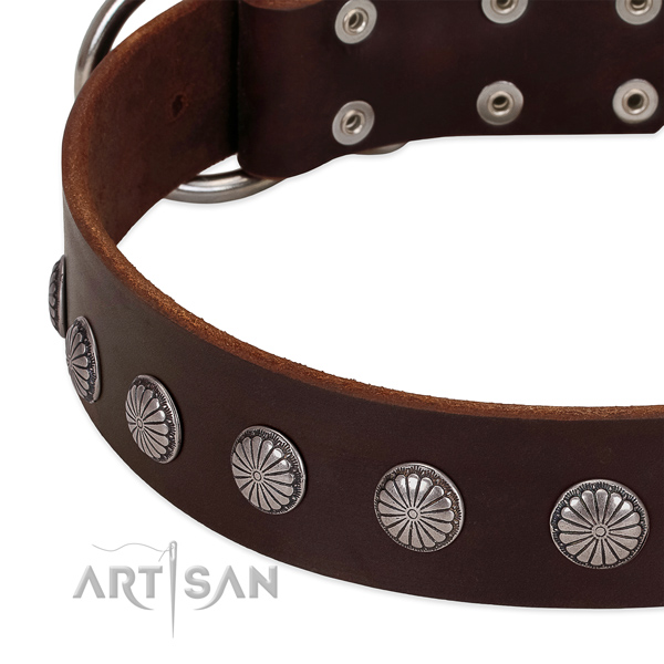 Soft to touch genuine leather dog collar with embellishments for easy wearing