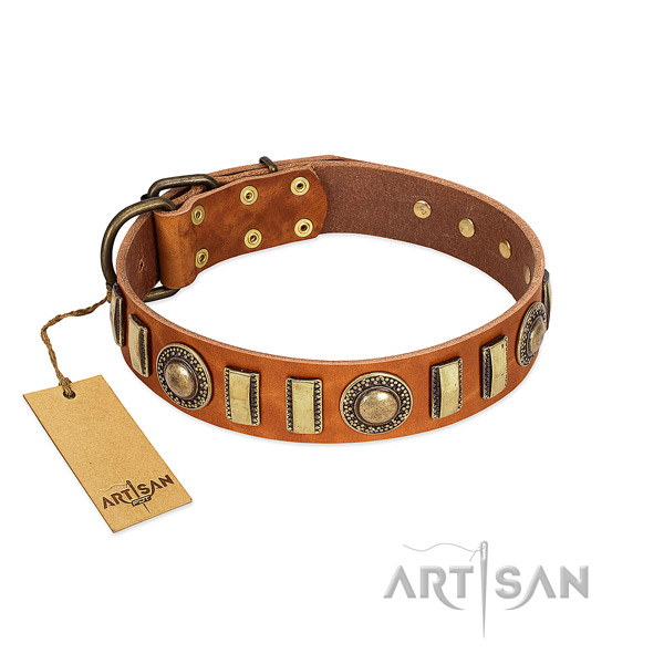 Top rate leather dog collar with strong fittings