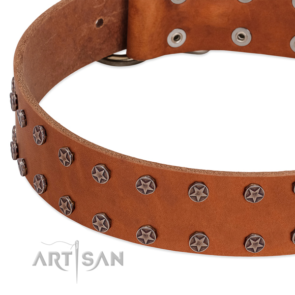 Quality natural leather dog collar with decorations for your canine