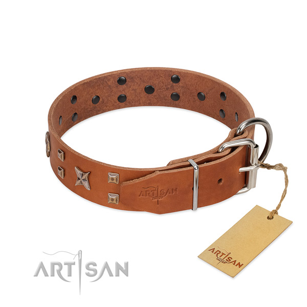 Best quality natural leather dog collar for your beautiful dog