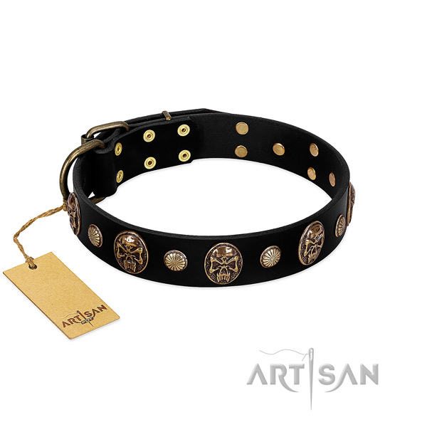 Leather dog collar with rust-proof adornments