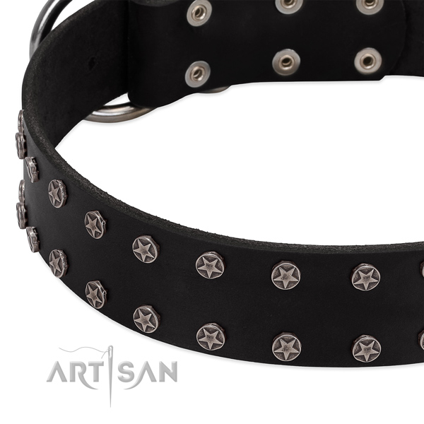 Soft to touch leather dog collar with embellishments for your doggie