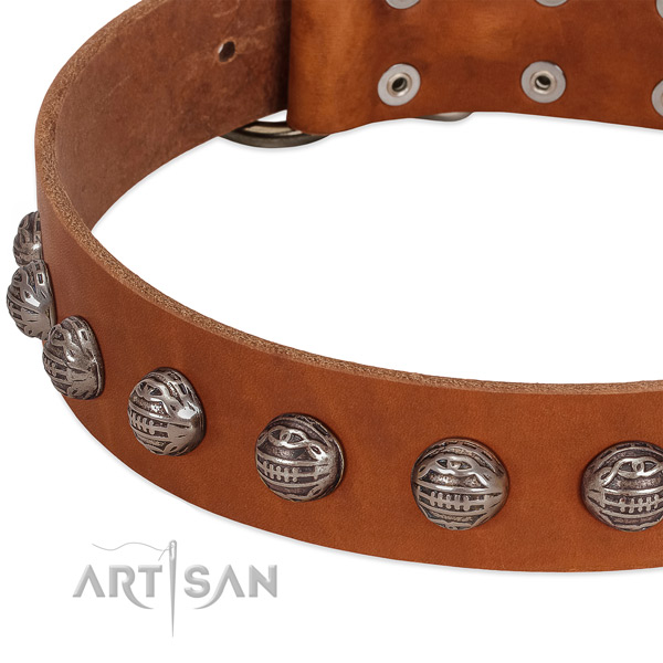 Remarkable natural leather dog collar with strong adornments