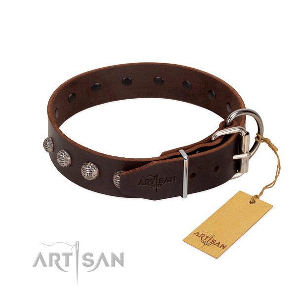 Convenient dog collar handmade for your impressive canine