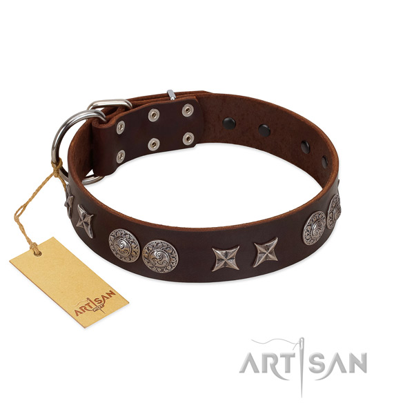 Best quality full grain natural leather dog collar for your handsome canine