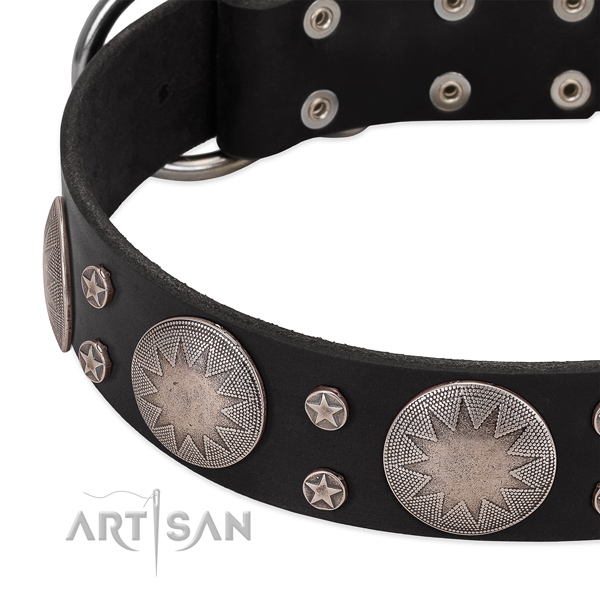High quality full grain genuine leather dog collar with embellishments for your impressive doggie