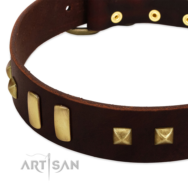 Reliable full grain natural leather dog collar with decorations for daily use