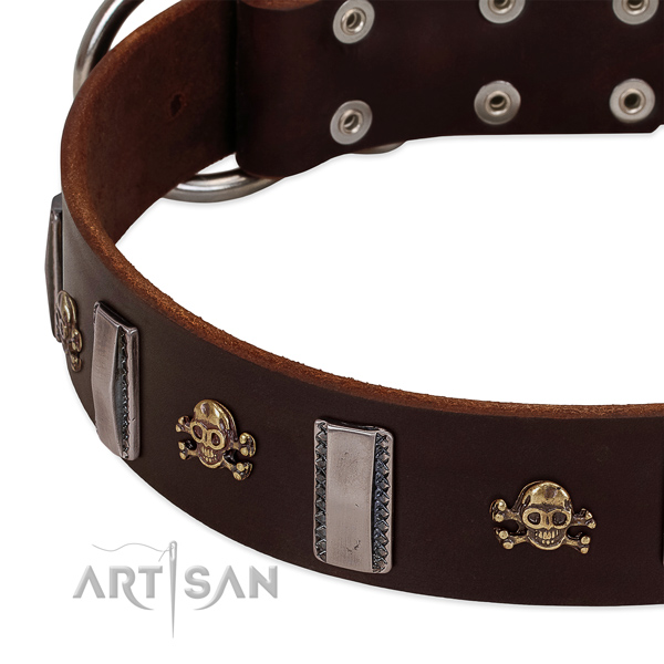 Perfect fit full grain natural leather collar with adornments for your four-legged friend