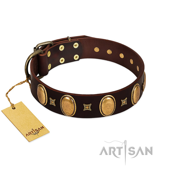 Genuine leather dog collar with designer studs for comfy wearing